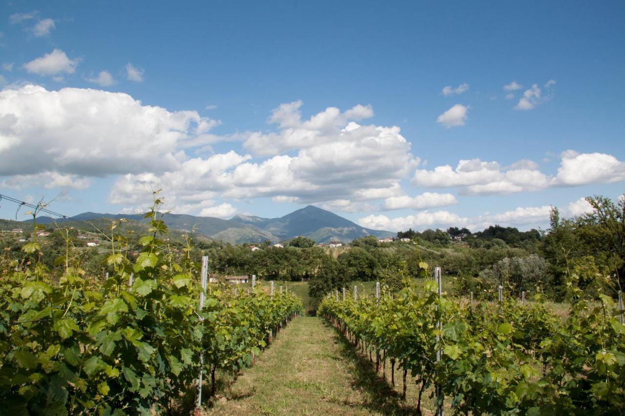 Palazzo Tronconi Alloggio per agriturismo Arce