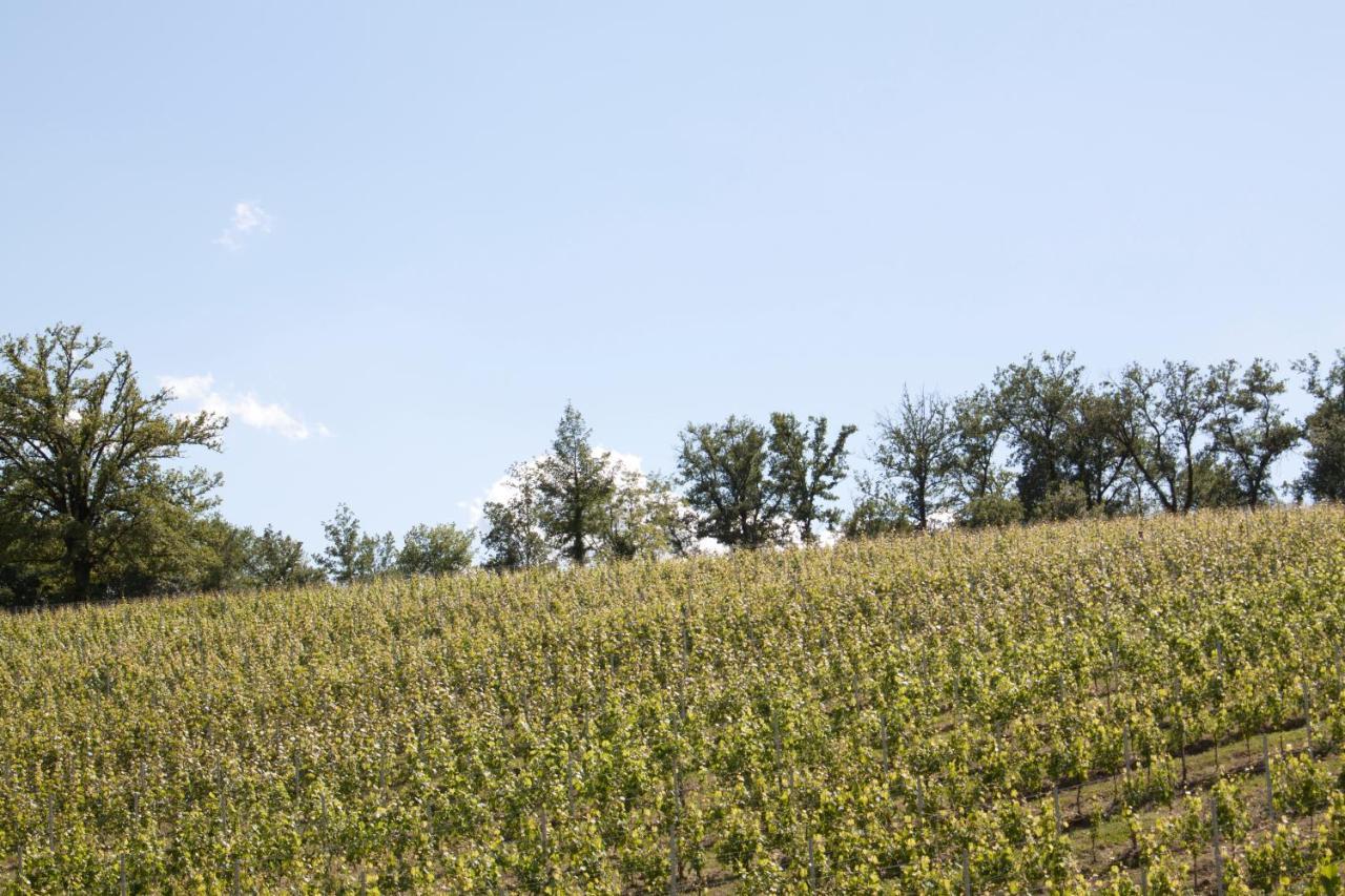 Palazzo Tronconi Farm stay *