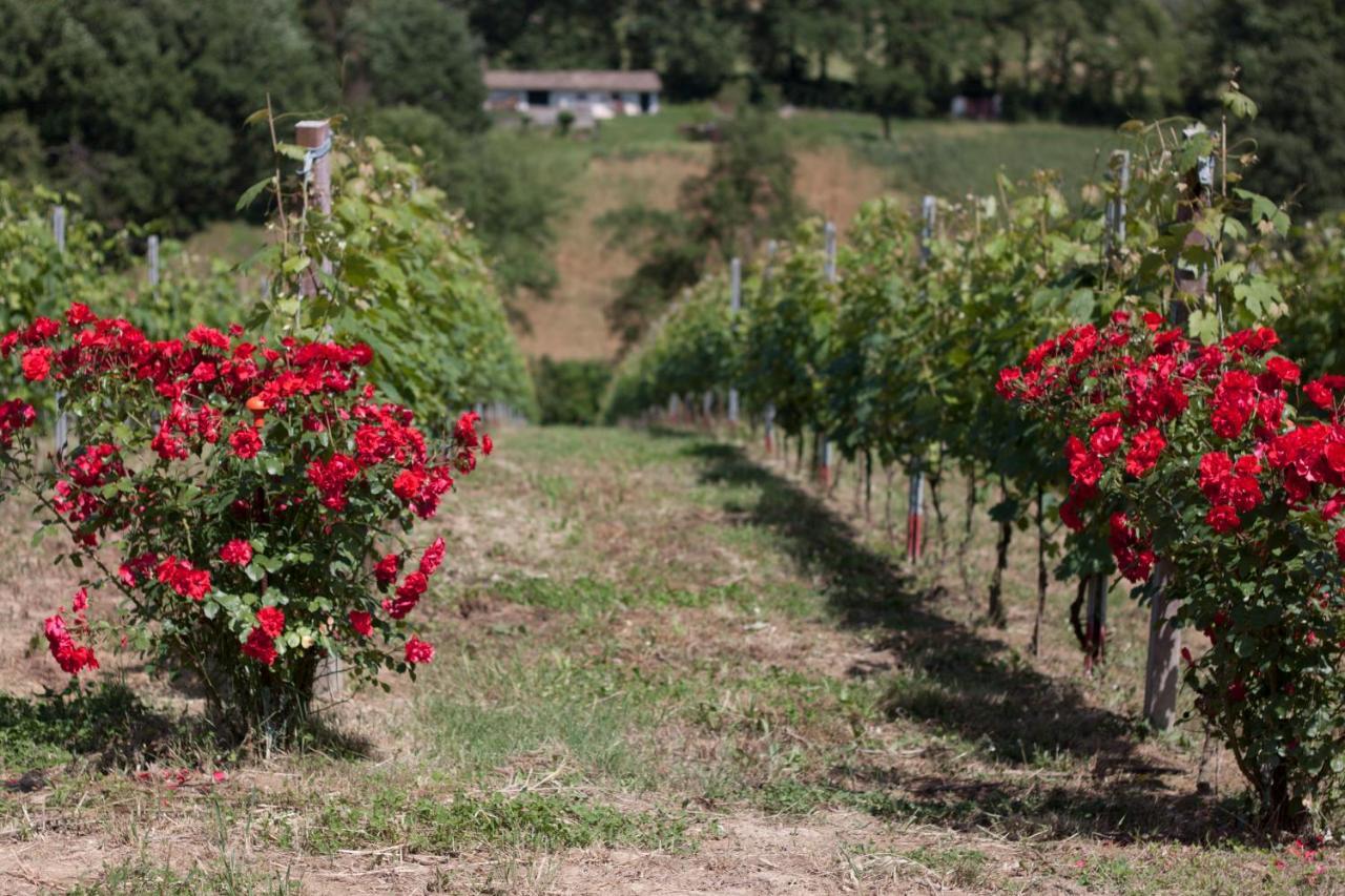 Farm stay Palazzo Tronconi