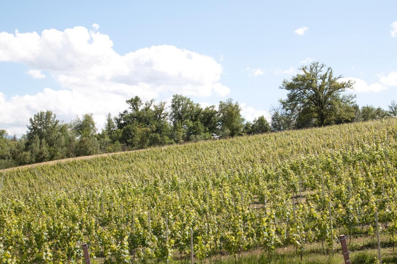 Farm stay Palazzo Tronconi *