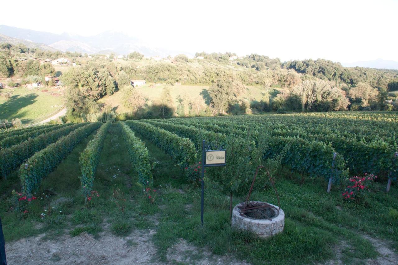 Farm stay Palazzo Tronconi Arce