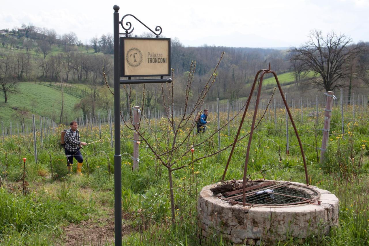 Farm stay Palazzo Tronconi Arce