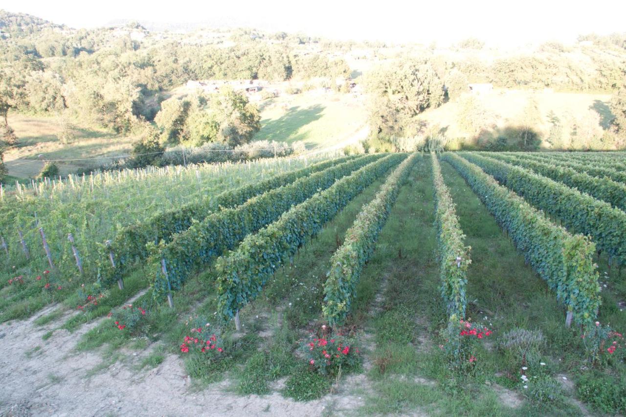 Palazzo Tronconi Farm stay